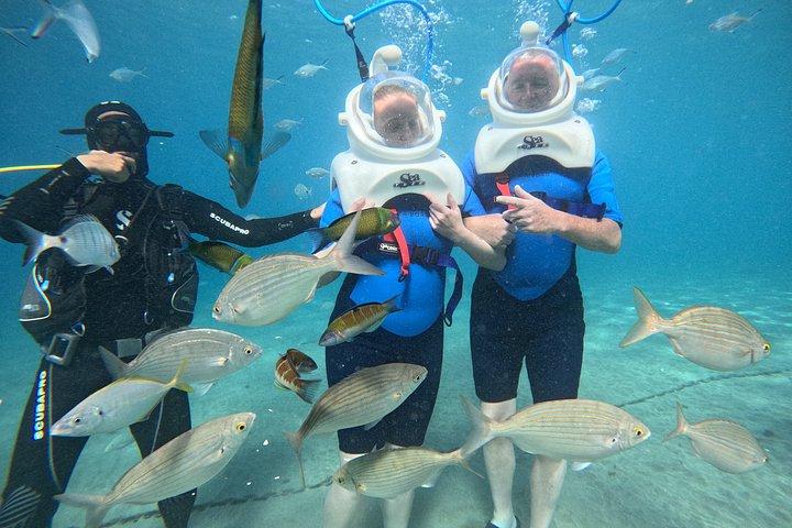 テネリフェのシートレック水中散歩-水泳不要
