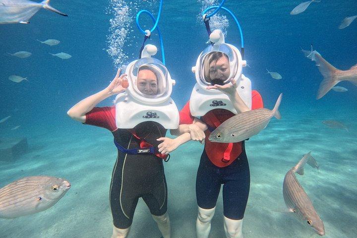 テネリフェのシートレック水中散歩-水泳不要