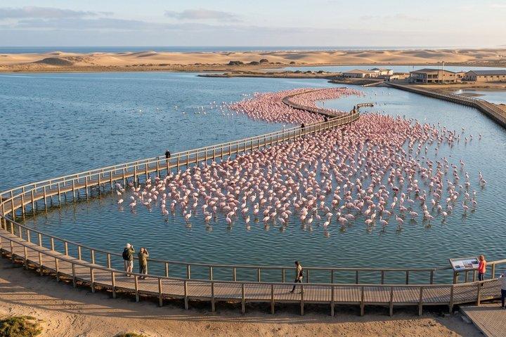 Private Customizable Walking Tour in Walvis Bay