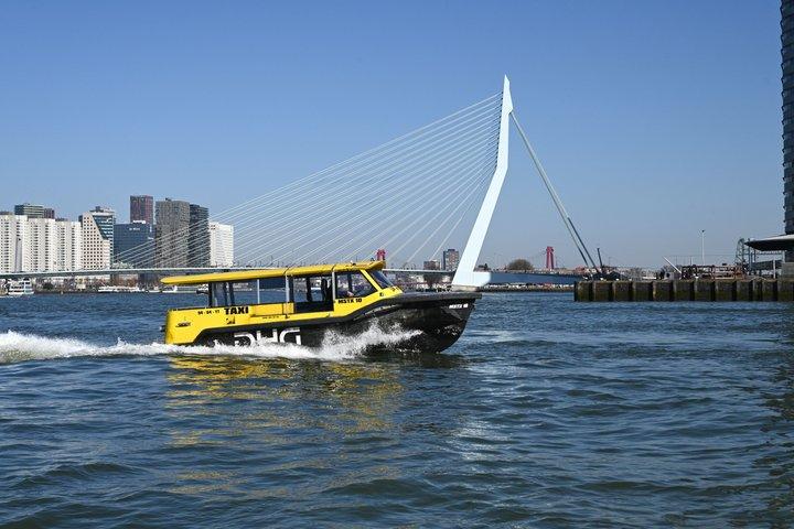 Delft & Rotterdam: Privat dagstur med privat bådtur