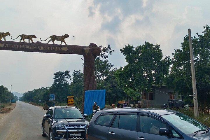 アムラバードトラ保護区とハイデラバード発野生動物ツアー