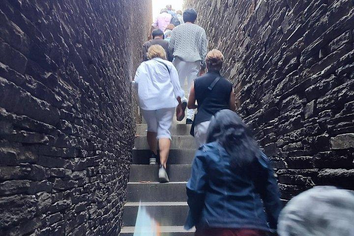 De Porto: Excursão de pequeno grupo no Vale do Douro com 4 vinícolas