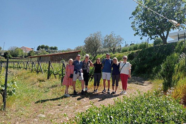 Private Douro Valley Tour from Porto: 3 Wineries & Lunch