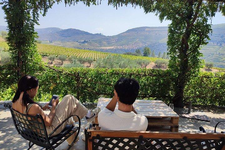 Private Douro Valley Tour from Porto: 3 Wineries & Lunch