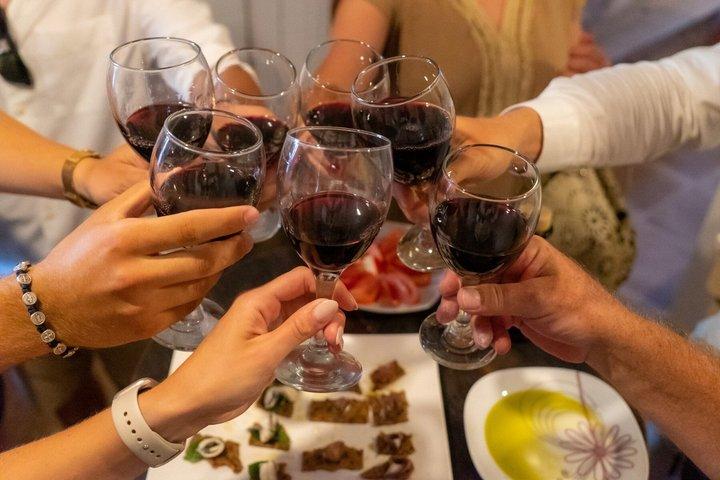 Visite guidée en hors-bord avec dégustation de nourriture, d'huile et de vin biologiques