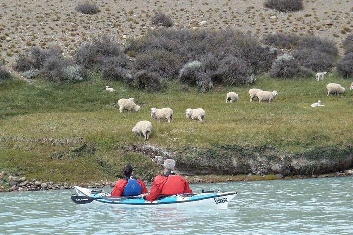 Darwin Experience: Santa Cruz River Kayaking Adventure