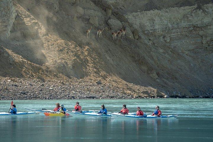 Darwin Experience: Santa Cruz River Kayaking Adventure