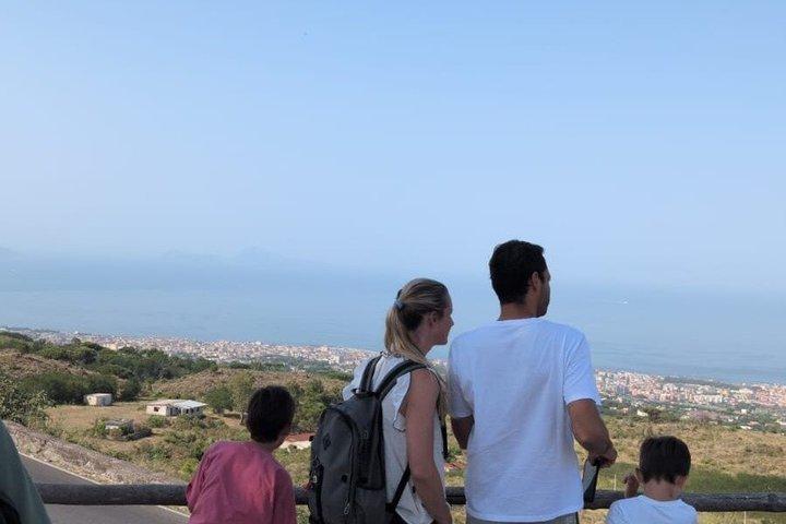 Rondleiding van Napels naar Pompeii en de Vesuvius: voorrangstour inclusief tickets