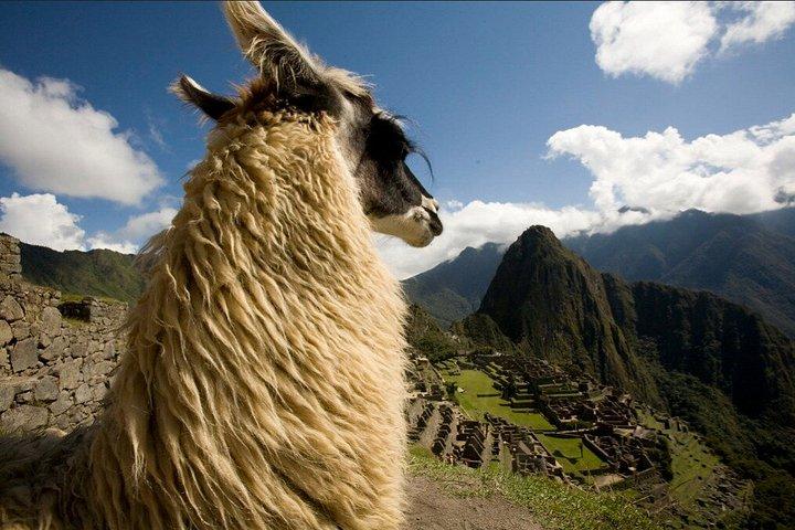 Machu Picchu Classic Guided Tour with Bus Tickets