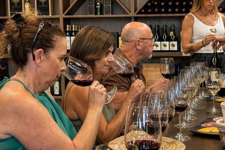 マラガ・アンダルシアワイン試飲会：5つのワインと地元料理