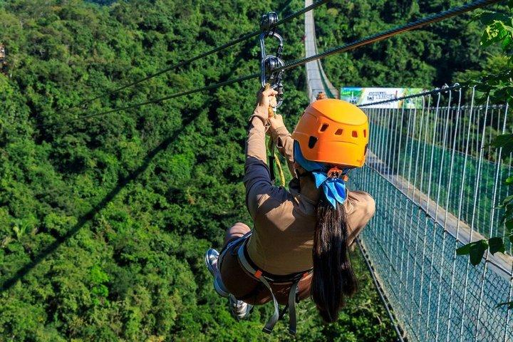 River Park Zipline Tour and Mule Ride