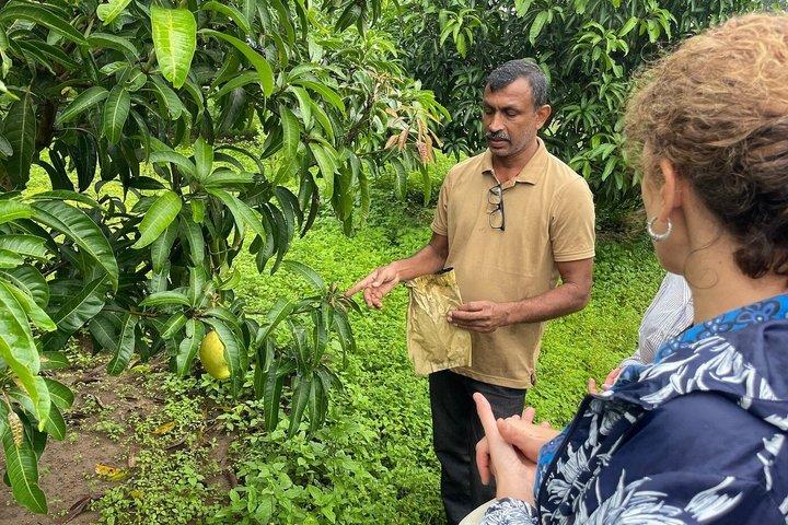 Clase de cocina orgánica con visita al jardín por Sinhagiri