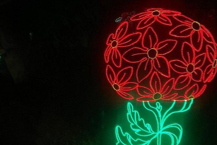 Branson Redneck Christmas Lights Tour Comedy Adventure