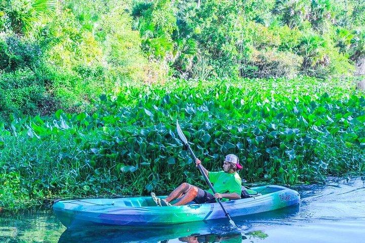 Wekiwa Springs State Park Single Kayak Rental