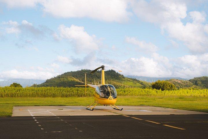 Privat Kauaʻi Helikopteroplevelse: Døre-off alle vinduer