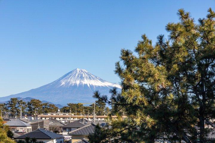 Miho no Matsubara and Port Classic Express Private Tour