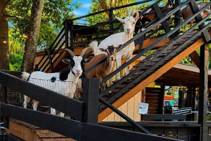 DK Farms and Gardens Admission with 18 Hole Mini Golf in Largo