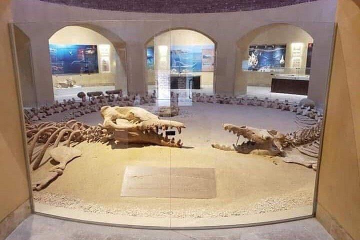 ファユームオアシス日帰りツアーワディ・エル・ラヤン、マジックレイク、デザートサファリ