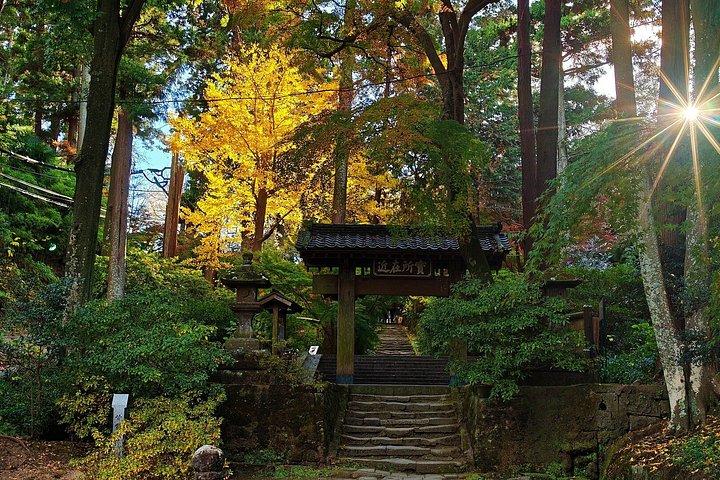 Kamakura Samurai Legender Shrines og den store Buddha