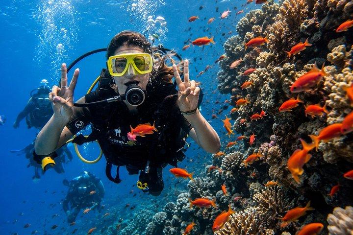 Hurghada Experiencia de Buceo con Arrecifes de Coral, Almuerzo y Traslado