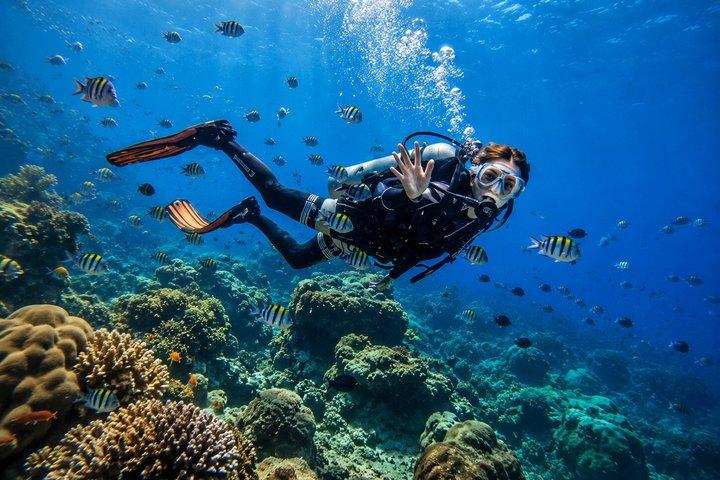 Hurghada Experiencia de Buceo con Arrecifes de Coral, Almuerzo y Traslado