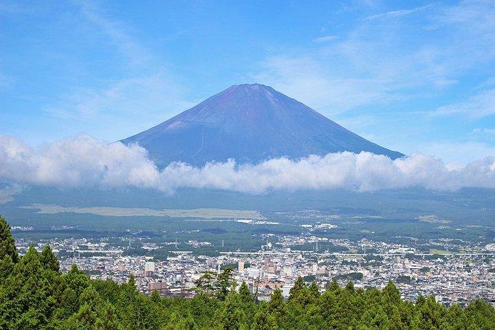 Shizuoka Heritage and Castle Ruins Private Tour