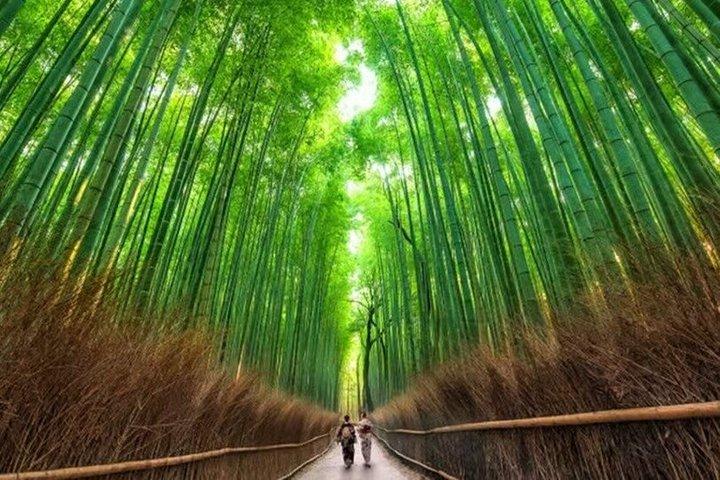 京都：プレミアムオールインクルーシブ 箸作りワークショップ