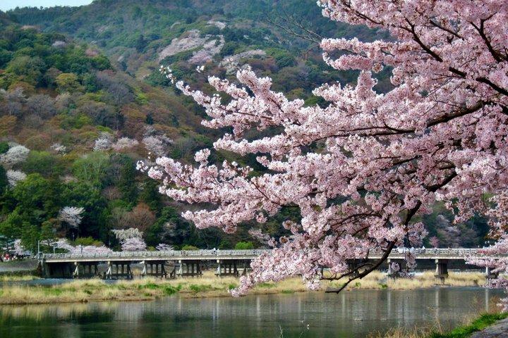 京都：プレミアムオールインクルーシブ 箸作りワークショップ