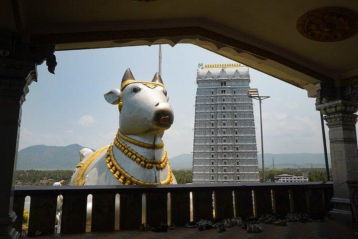 ケーララプラスビレッジ体験ツアー:ムンバイから15日間