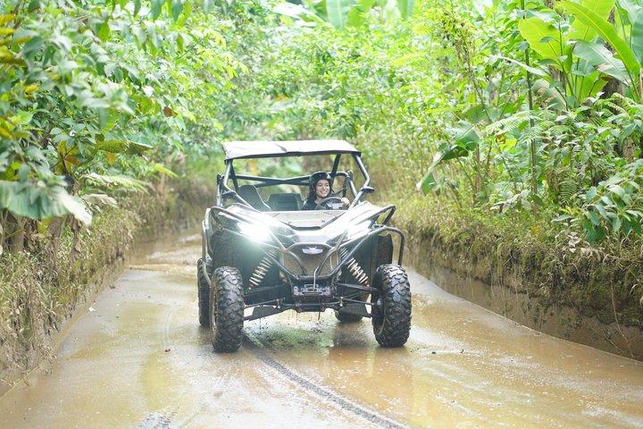 Jungle UTV Buggy Eventyr og Ubud Tour