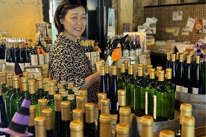 天橋立＆舟屋 専用車＆ドライバー付き（最大9人）