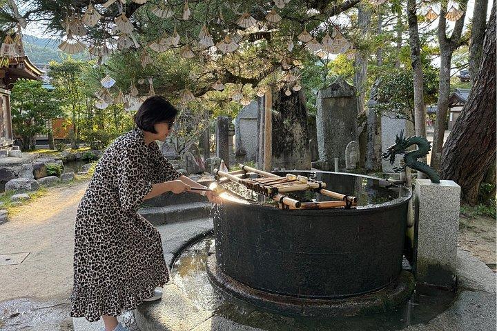 天橋立＆舟屋 専用車＆ドライバー付き（最大9人）