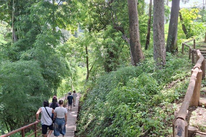 チェンマイスティッキーウォーターフォールサービス（旧市街からホテルピックアップ付き）