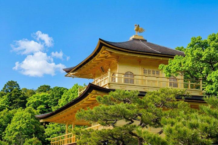 Kyoto & Uji: Excursão turística de dia inteiro a partir de Osaka ou Kyoto