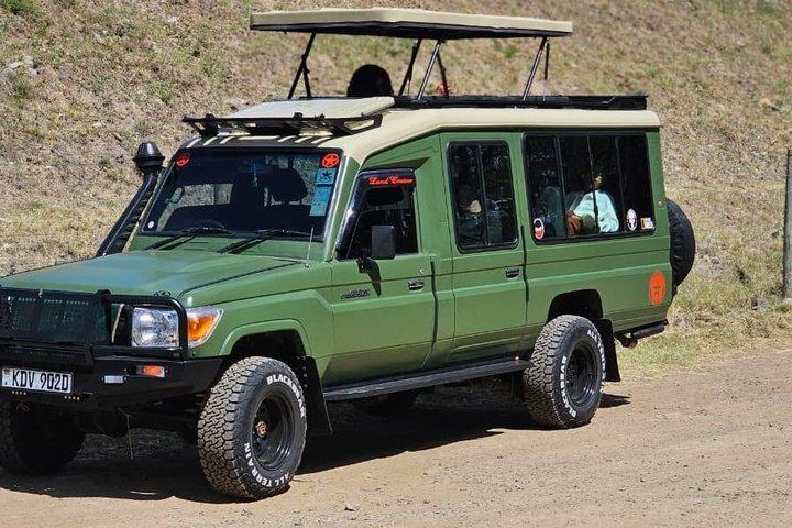 Masai Mara National Reserve 3-dagars Tour erfarenhet med 4 * 4fordon