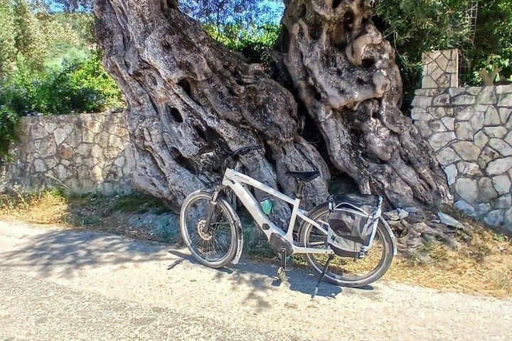 ザキントスの町と歴史城、絶景を巡るE-Bikeツアー