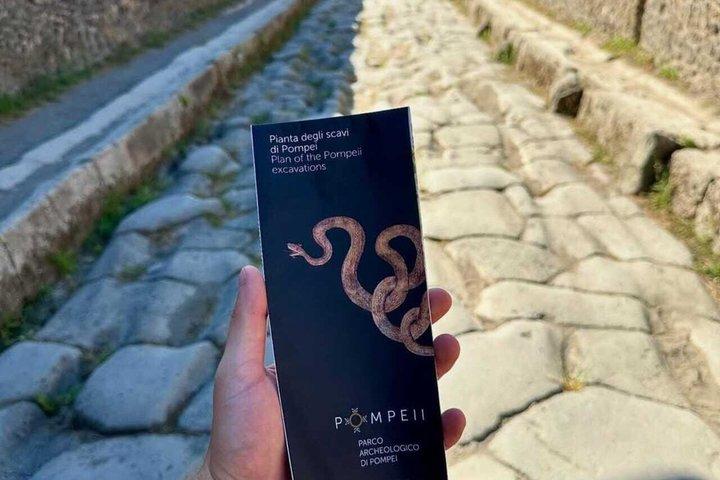 Private Pompeii Tour with Winery Lunch Guide and Tickets