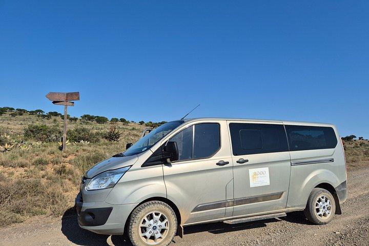 Transfers To and From Various Types of Accommodation