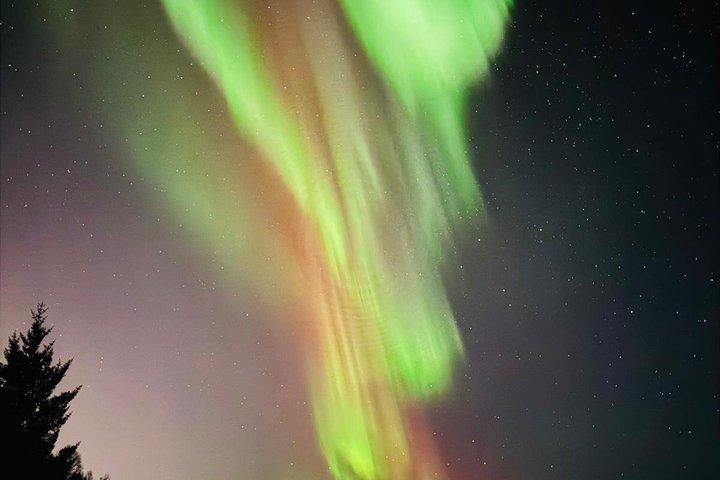 Tromso 3h Express Northern Lights Tour