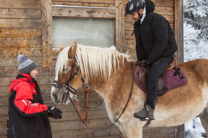 Tour a cavallo con i cavalli finlandesi al Villaggio di Babbo Natale
