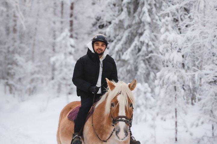 Tour a cavallo con i cavalli finlandesi al Villaggio di Babbo Natale