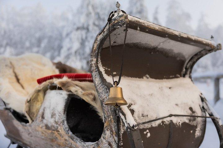Magical Sleigh Ride with Finnhorses