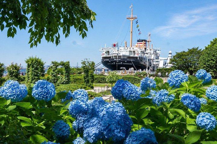横浜港10Hプライベート岸辺ツアー