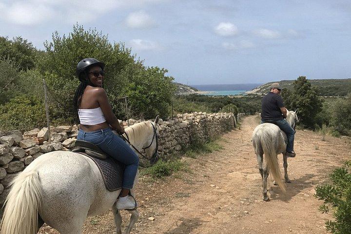 Menorca : 海岸の景色を望むカラ・ミチャナへの乗馬