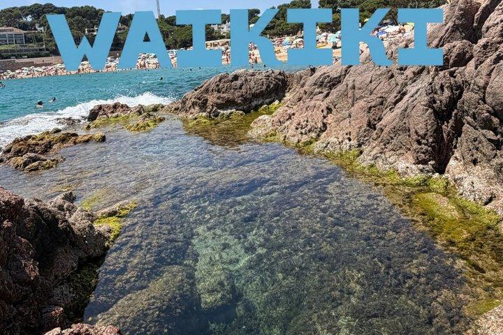 伝統的なボートツアー：コスタ・ブラバでの冒険