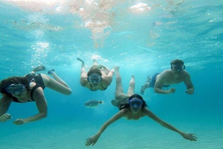 Mejores Beach Tours Mallorca. Las camionetas felices.
