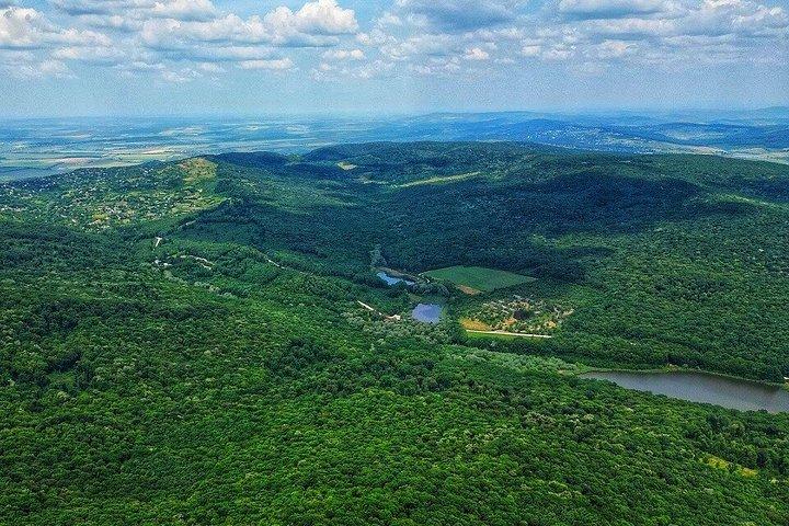 Full day tour to Plaiul Fagului Reserve, Honey & Monastery