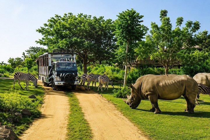 Bali Safari Reiseerlebnis