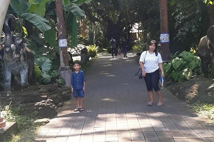 Bali Safari Reiseerlebnis