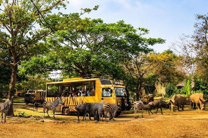 Bali Safari Reiseerlebnis